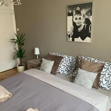 Anenska By Charles Bridge 2 Praha