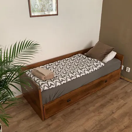 Anenska By Charles Bridge 2