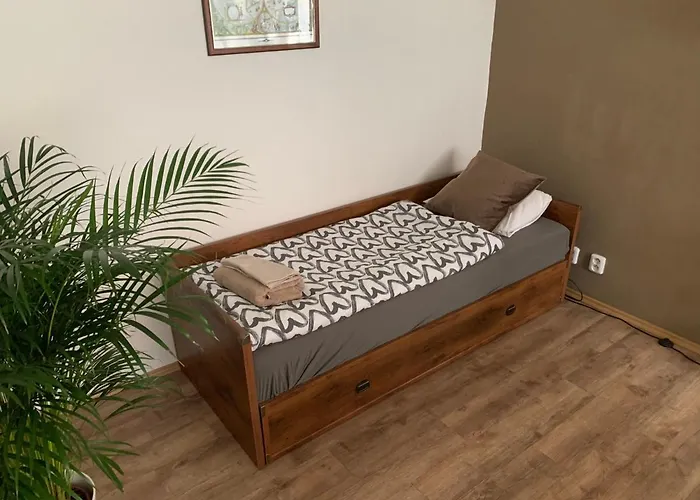 Anenska By Charles Bridge 2